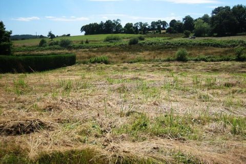 Terra a Ploerdut, Morbihan, Ploerdut - € 24.518 | Ref: 56075-1980 - foto 2