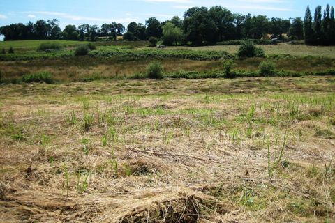 Terra a Ploerdut, Morbihan, Ploerdut - € 24.518 | Ref: 56075-1980 - foto 3