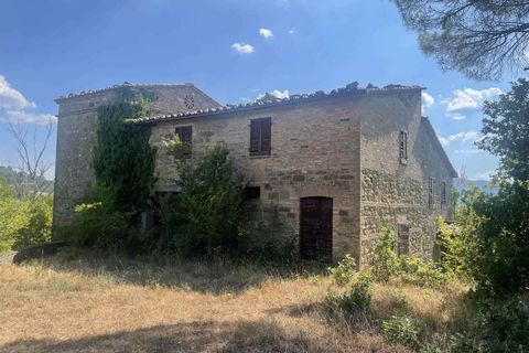 Farm i Gubbio, Perugia, Gubbio - € 700.000 | Ref: AZ212 - foto 1