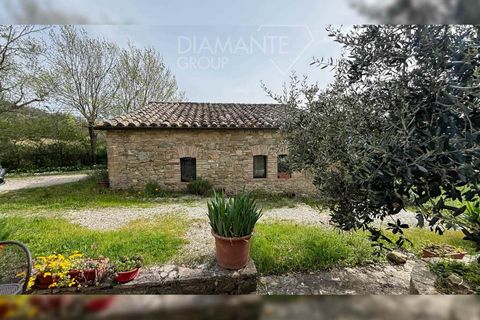 Farm hus i Umbertide, Perugia, Umbertide - € 750.000 | Ref: GU6323 - foto 4