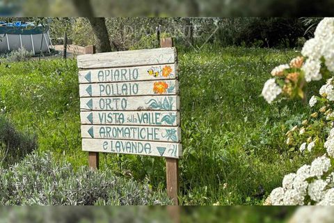 Farm hus i Umbertide, Perugia, Umbertide - € 750.000 | Ref: GU6323 - foto 8