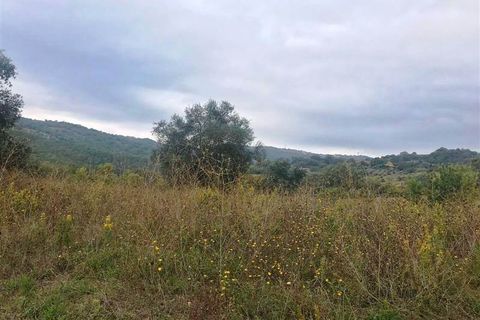 Farm i Scansano, Grosseto, Scansano - € 250.000 | Ref: AZ138 - foto 1