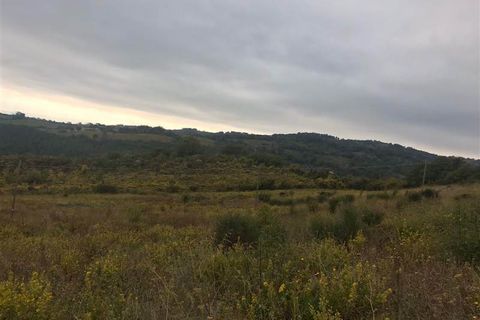 Farm i Scansano, Grosseto, Scansano - € 250.000 | Ref: AZ138 - foto 4