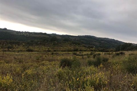 Farm i Scansano, Grosseto, Scansano - € 250.000 | Ref: AZ138 - foto 5