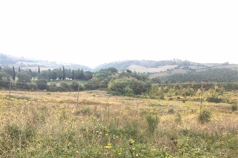 Farm i Scansano, Grosseto, Scansano - € 250.000 | Ref: AZ138 - foto 6