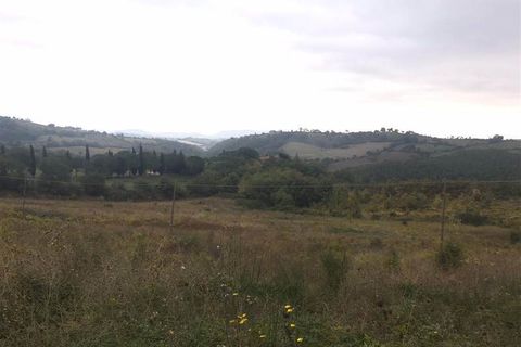 Farm i Scansano, Grosseto, Scansano - € 250.000 | Ref: AZ138 - foto 7