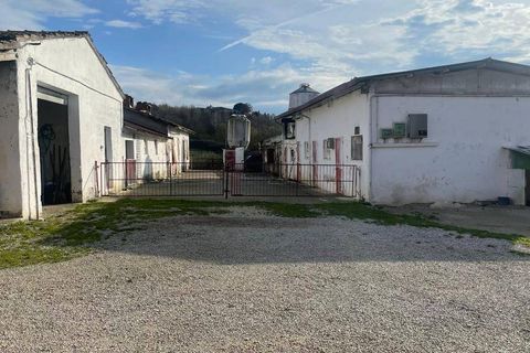 Farm i Cortona, Arezzo, Cortona - € 1.200.000 | Ref: AZ60 - foto 4