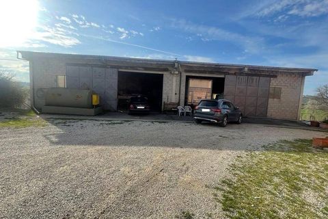 Farm i Cortona, Arezzo, Cortona - € 1.200.000 | Ref: AZ60 - foto 5