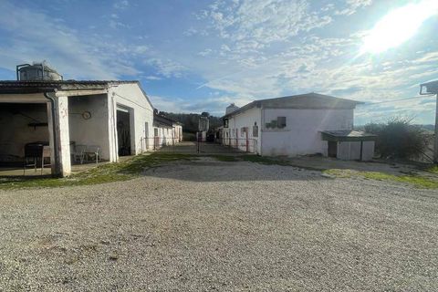 Farm i Cortona, Arezzo, Cortona - € 1.200.000 | Ref: AZ60 - foto 6