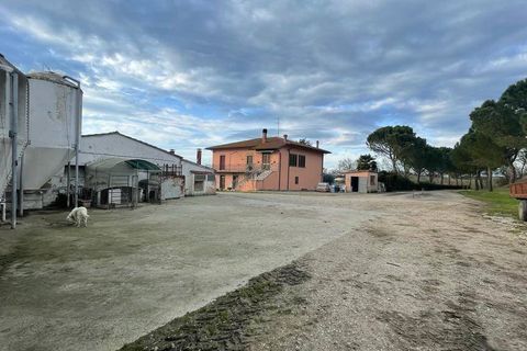 Farm i Cortona, Arezzo, Cortona - € 1.200.000 | Ref: AZ60 - foto 11