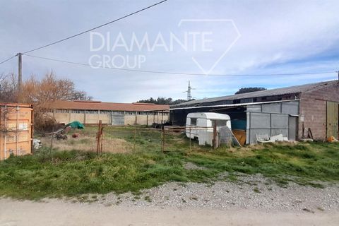 Farm i Pomarance, Pisa, Pomarance - € 320.000 | Ref: AZ361 - foto 1