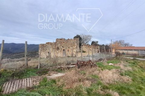 Farm i Pomarance, Pisa, Pomarance - € 320.000 | Ref: AZ361 - foto 2