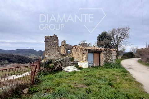 Farm i Pomarance, Pisa, Pomarance - € 320.000 | Ref: AZ361 - foto 3