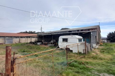 Farm i Pomarance, Pisa, Pomarance - € 320.000 | Ref: AZ361 - foto 4