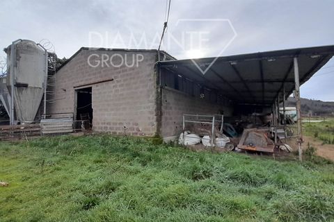 Farm i Pomarance, Pisa, Pomarance - € 320.000 | Ref: AZ361 - foto 5