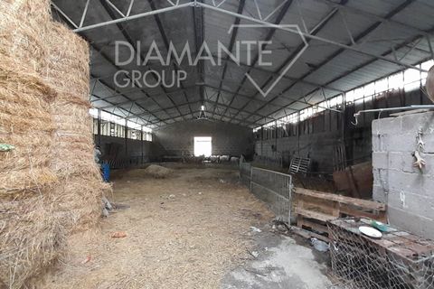 Farm i Pomarance, Pisa, Pomarance - € 320.000 | Ref: AZ361 - foto 7
