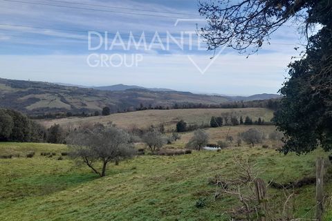 Farm i Pomarance, Pisa, Pomarance - € 320.000 | Ref: AZ361 - foto 10