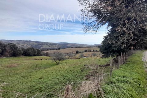 Farm i Pomarance, Pisa, Pomarance - € 320.000 | Ref: AZ361 - foto 11