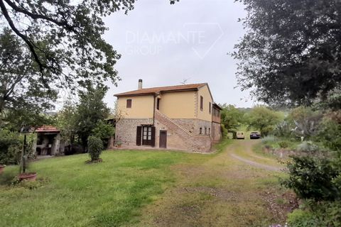 Farm hus i Cinigiano, Grosseto, Cinigiano - € 470.000 | Ref: GR6384 - foto 3