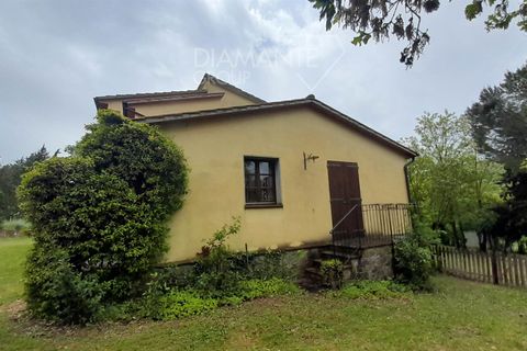 Farm hus i Cinigiano, Grosseto, Cinigiano - € 470.000 | Ref: GR6384 - foto 8