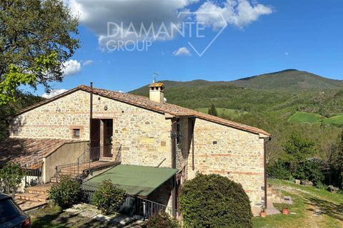 Farm i Radicofani, Siena, Radicofani - € 1.050.000 | Ref: AZ301 - foto 3