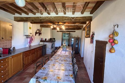 Farm i Radicofani, Siena, Radicofani - € 1.050.000 | Ref: AZ301 - foto 6