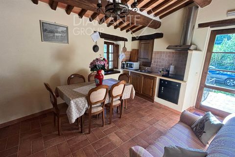 Farm i Radicofani, Siena, Radicofani - € 1.050.000 | Ref: AZ301 - foto 9