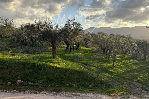 Farm i Castel Ritaldi, Perugia, Castel Ritaldi - € 600.000 | Ref: AZ359 - foto 5