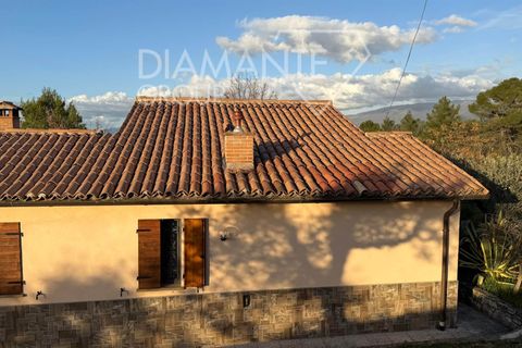 Farm i Castel Ritaldi, Perugia, Castel Ritaldi - € 600.000 | Ref: AZ359 - foto 6
