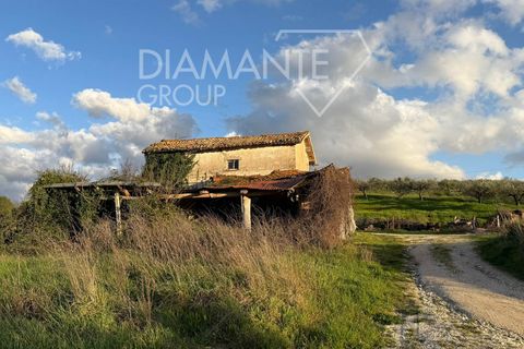 Farm i Castel Ritaldi, Perugia, Castel Ritaldi - € 600.000 | Ref: AZ359 - foto 8