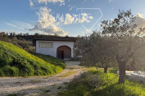 Farm i Castel Ritaldi, Perugia, Castel Ritaldi - € 600.000 | Ref: AZ359 - foto 9