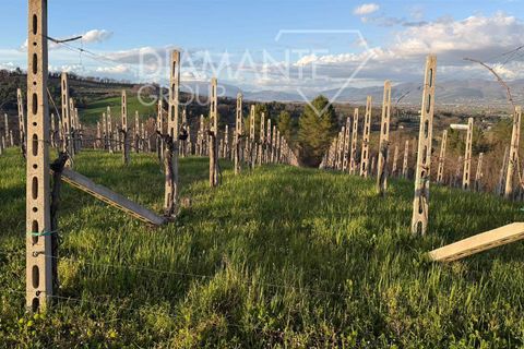 Farm i Castel Ritaldi, Perugia, Castel Ritaldi - € 600.000 | Ref: AZ359 - foto 10