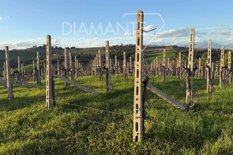 Farm i Castel Ritaldi, Perugia, Castel Ritaldi - € 600.000 | Ref: AZ359 - foto 11