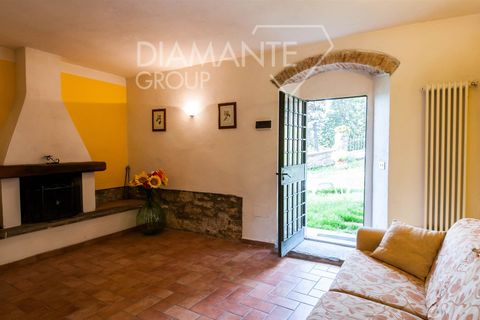 Farm i Rufina, Florence, Rufina - € 3.200.000 | Ref: AZ358 - foto 6