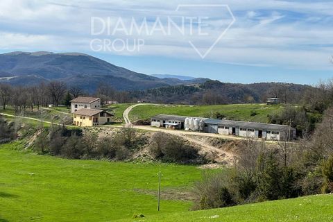 Farm i Sellano, Perugia, Sellano - € 1.020.000 | Ref: AZ353 - foto 1