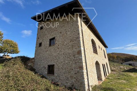 Farm i Sellano, Perugia, Sellano - € 1.020.000 | Ref: AZ353 - foto 4