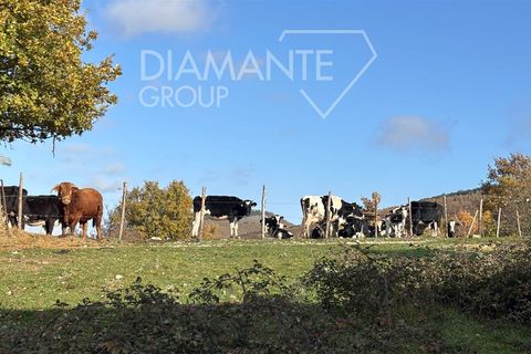 Farm i Sellano, Perugia, Sellano - € 1.020.000 | Ref: AZ353 - foto 8