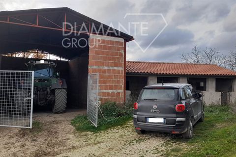 Granja a Costacciaro, Perugia, Costacciaro - € 149.000 | Ref: AZ350 - foto 8