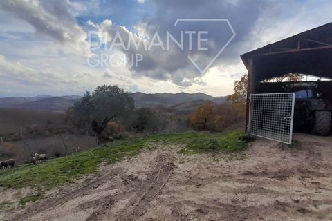 Granja a Costacciaro, Perugia, Costacciaro - € 149.000 | Ref: AZ350 - foto 10