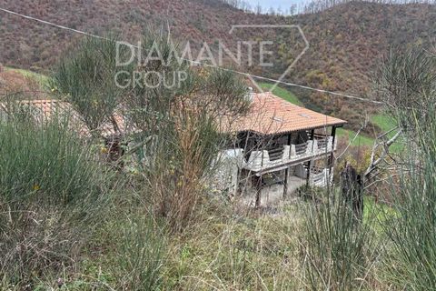 Farm i Gubbio, Perugia, Gubbio - € 325.000 | Ref: AZ348 - foto 7