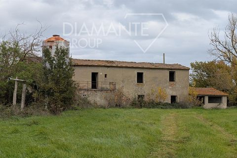 Farm hus i Cortona, Arezzo, Cortona - € 280.000 | Ref: AR6372 - foto 7