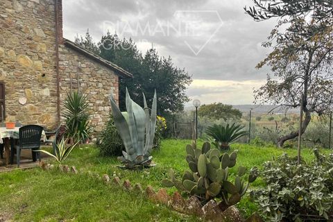 Farm hus i Paciano, Perugia, Paciano - € 165.000 | Ref: PA3431 - foto 3