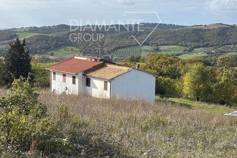 Farm i Cinigiano, Grosseto, Cinigiano - € 375.000 | Ref: AZ344 - foto 2