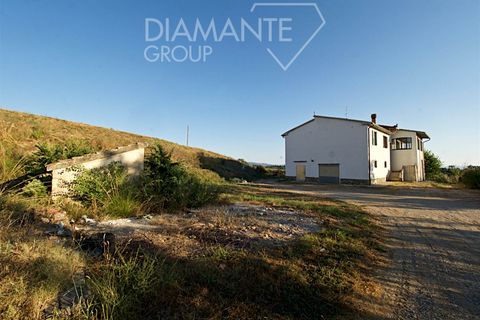 Farm i Cinigiano, Grosseto, Cinigiano - € 375.000 | Ref: AZ344 - foto 4