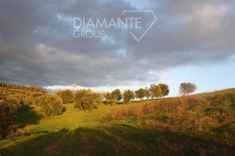 Farm i Cinigiano, Grosseto, Cinigiano - € 375.000 | Ref: AZ344 - foto 8