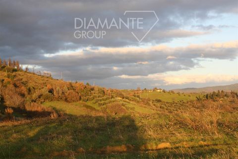 Farm i Cinigiano, Grosseto, Cinigiano - € 375.000 | Ref: AZ344 - foto 9