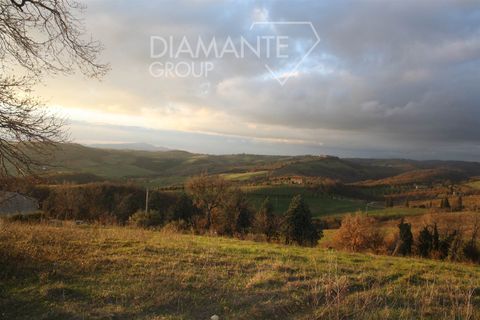 Farm i Cinigiano, Grosseto, Cinigiano - € 375.000 | Ref: AZ344 - foto 10