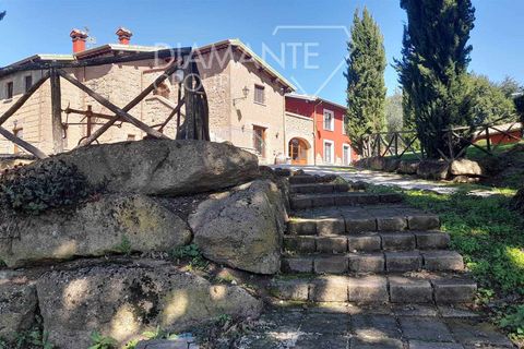 Farm i Sorano, Grosseto, Sorano - € 3.200.000 | Ref: AZ333 - foto 2