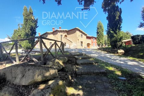 Farm i Sorano, Grosseto, Sorano - € 3.200.000 | Ref: AZ333 - foto 4