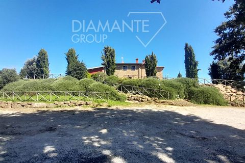 Farm i Sorano, Grosseto, Sorano - € 3.200.000 | Ref: AZ333 - foto 5